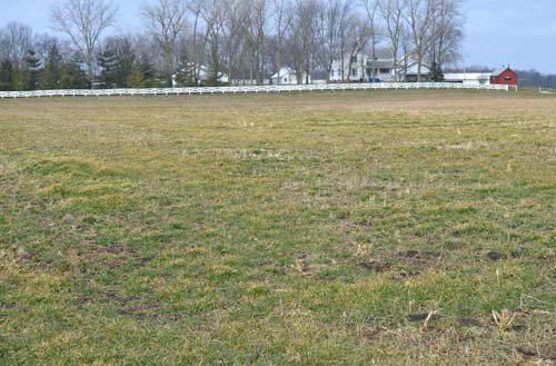 Property photo 6 - 98+/- Acres Offered in 6 Tracts or Combinations, Noble County, Indiana Farm